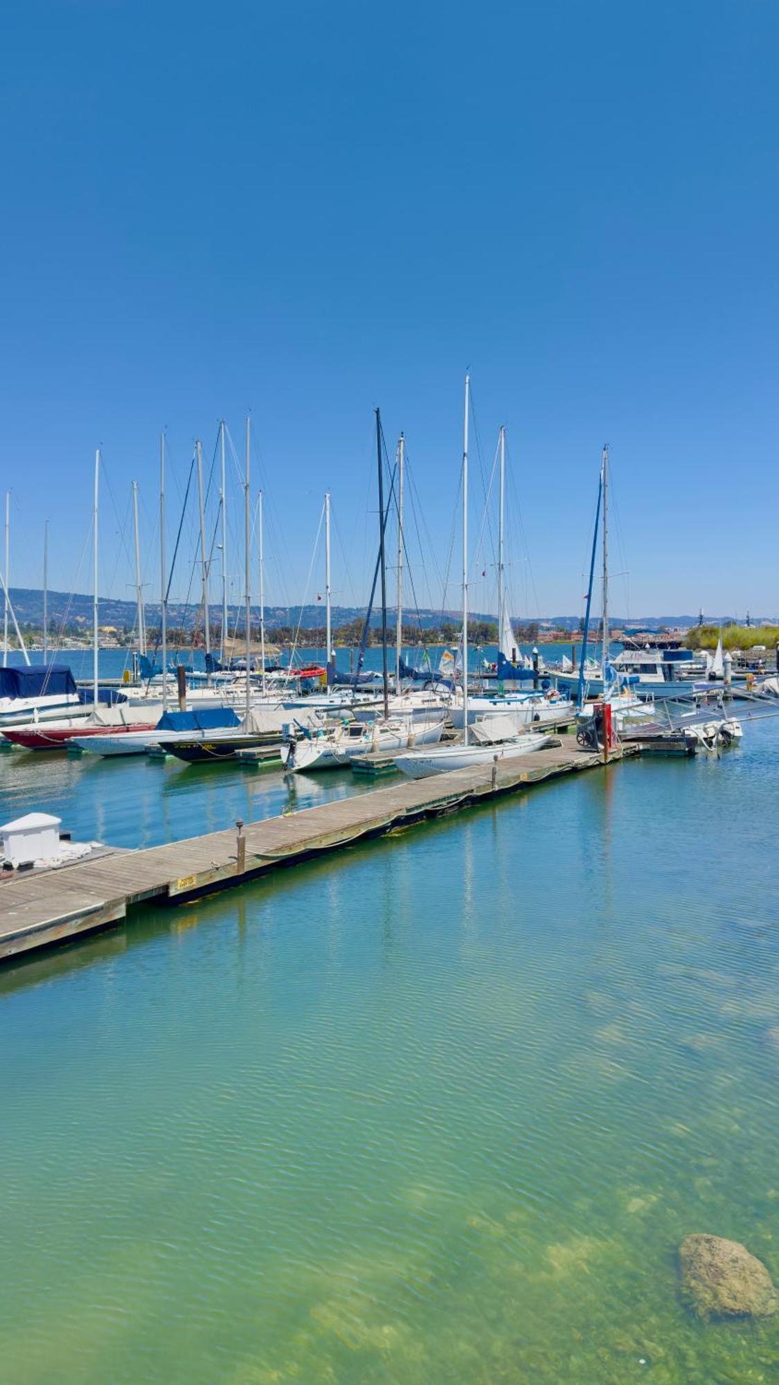 ألاميدا Marina Village Inn المظهر الخارجي الصورة